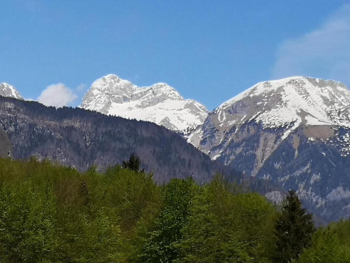 Apartmaji Prezelj Bohinj Exterior photo
